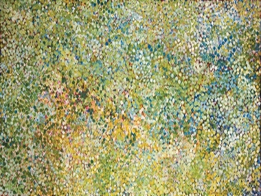 $244,000 for an Emily Kngwarreye Painting at Auction in Brisbane 
